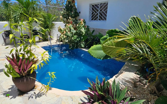 Luxury House Bungalow and apartments La Botánica Tropical