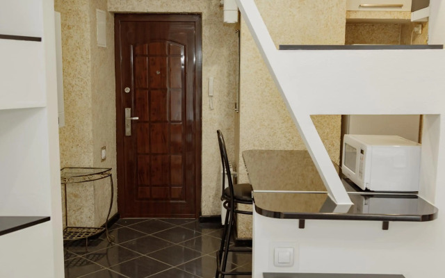 Transitional Havryky Apartment