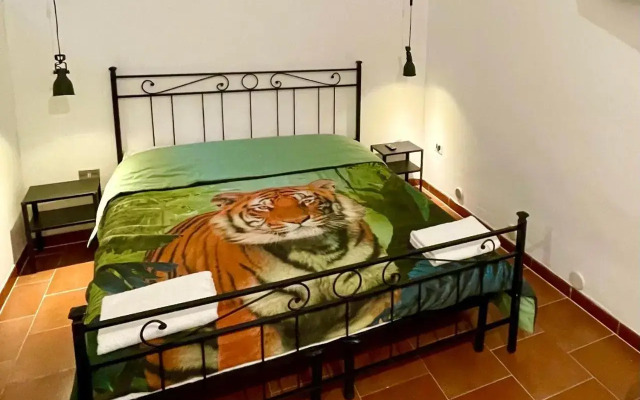 Parisa suite2