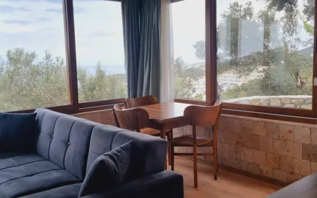 Sole Foça