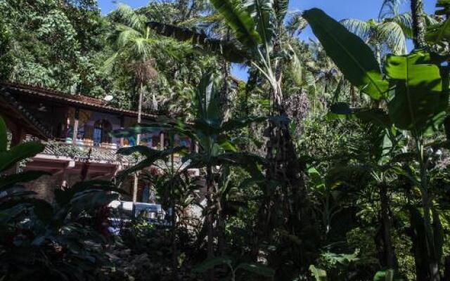 Surftopia Surf House