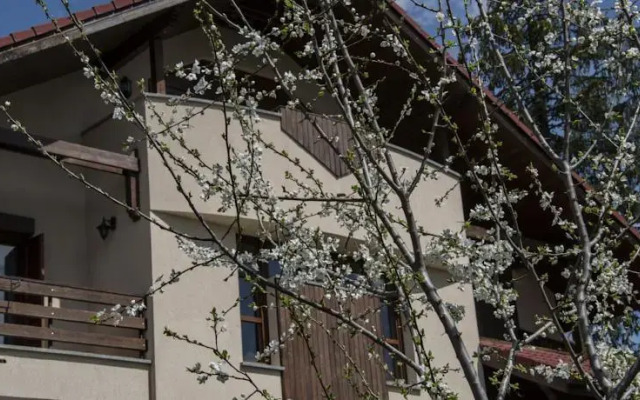 Transylvanian Villa