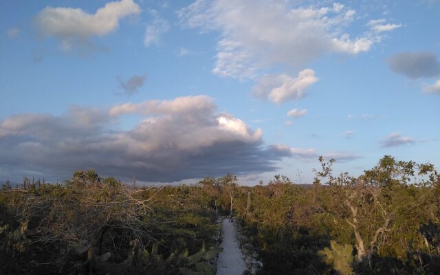 Glamping Ecolodge Cueva de las Águilas
