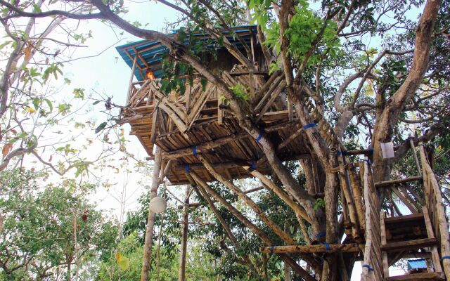 Nyuh Bengkok Tree House
