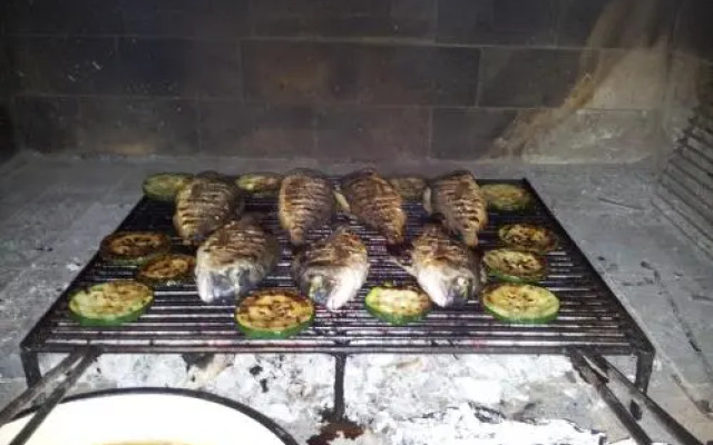 Apartment Summer Night Dream