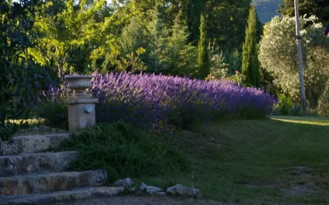 Le Mas des Lavandes