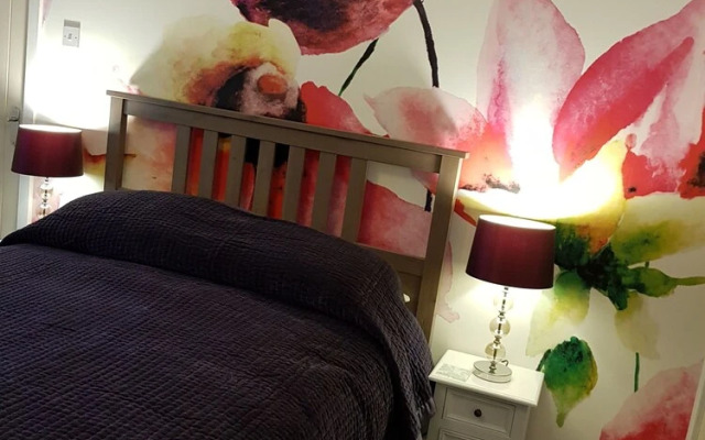 The Snug