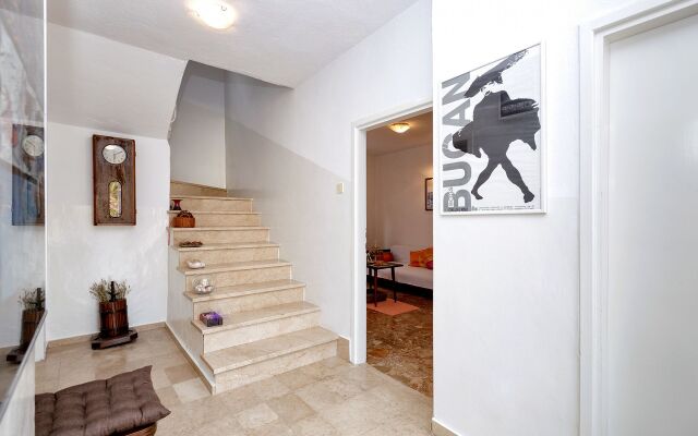 Apartment Sjajna - garden: A1 Jelsa, Island Hvar