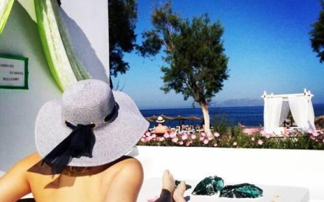 Sol Mare Salis