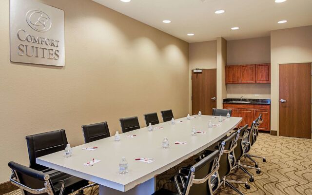 Comfort Suites Grayslake near Libertyville North