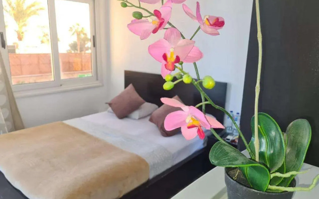 Lilly Rooms and Studios