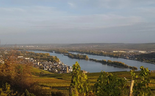 Rheingau und Weltkulturerbe Mittelrheintal erleben - Ferienappartement in Winkel