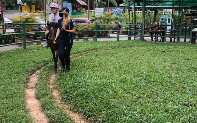 Glamping @ Bukit Timah Horsecity