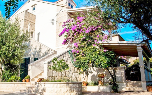 Apartments Iskra Duce