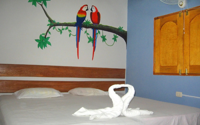 Amazon House Hostel