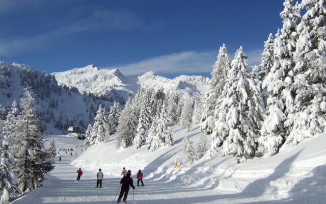 Appartamenti Pellizzano