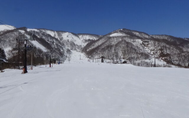 Condominium Hakuba Goryu