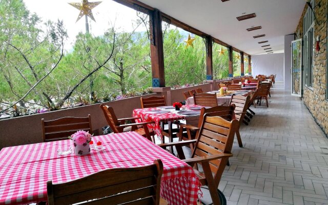 Century Pines Resort