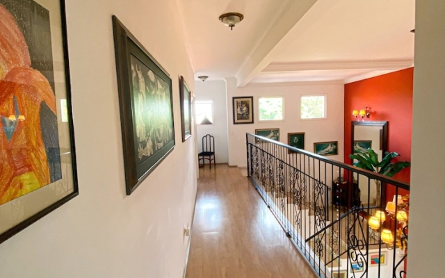 Paz e muito verde na Granja Viana