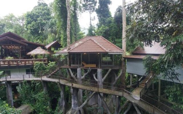 Rock And Treehouse Resort