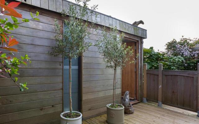 Owl and Dragon Studio