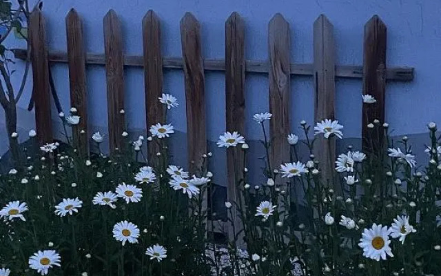 Yining Yueye Homestay