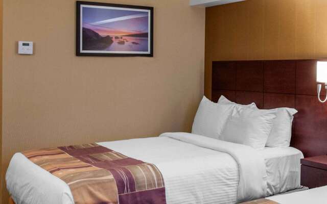 Quality Hotel & Suites