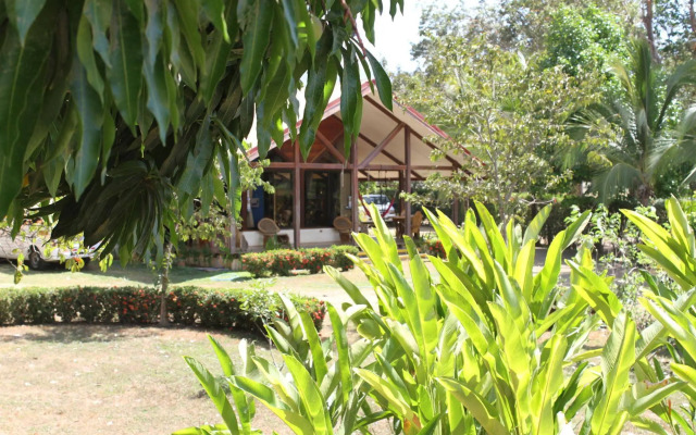 Surf Synergy All-Inclusive Surf Retreat