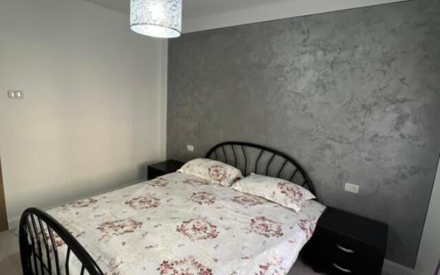 Borșa ApartHotel 4