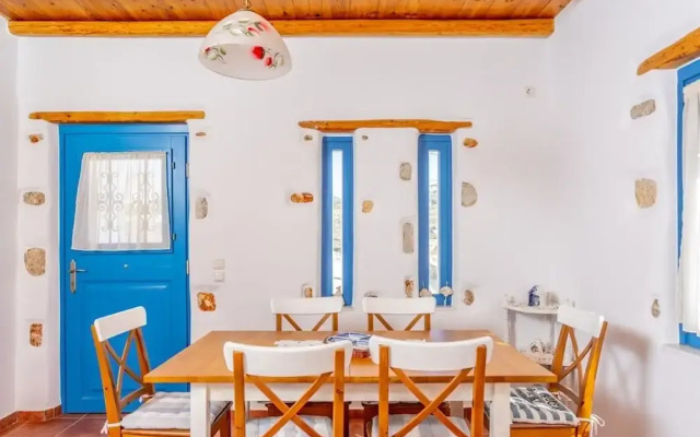 Villa Ioanna for 10 - Allparos Villas