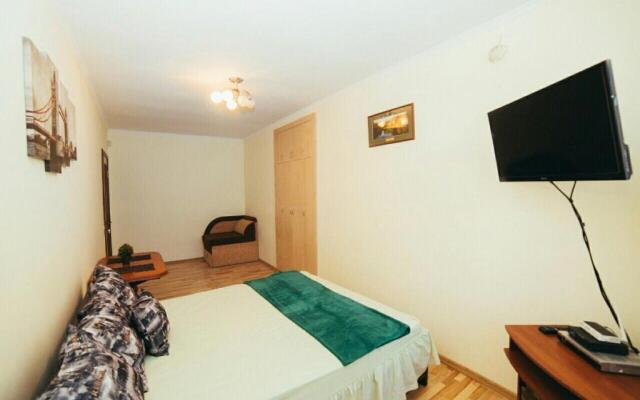 Apartment on Sichovyh Striltsiv