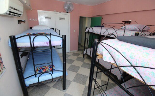 Enzo's Backpackers