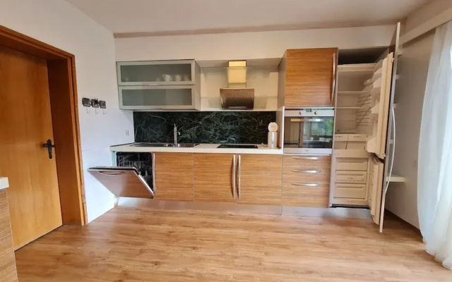 Wonderful Apartment Close to the ski Slope