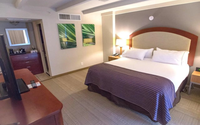 Hotel Indigo St Louis - Central West End by IHG