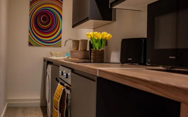 BV Lush Apartment At Conditioning House Bradford