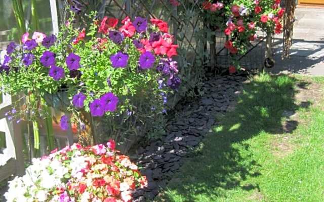Perfect for Petersfield B&B