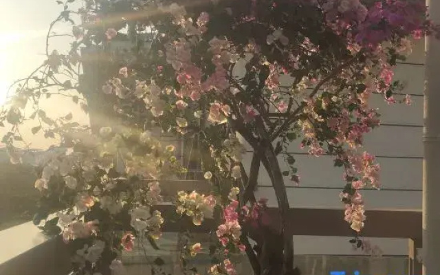 Shiguanghui Hostel