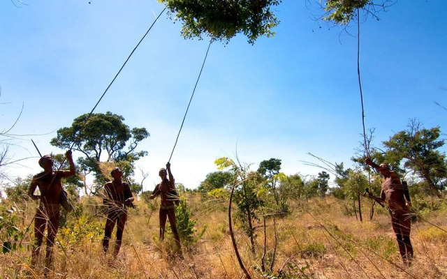 Nhoma Safari Camp
