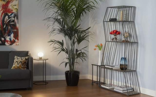 Butterfly Boutique Rooms