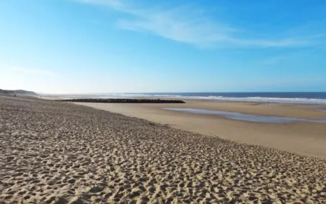 LES PINS DE LOCéAN (MVT195)