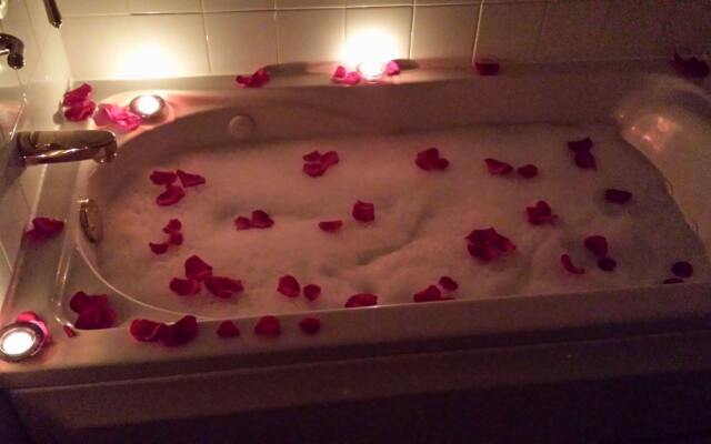 Arbor View House B&B