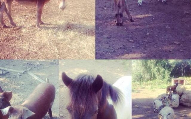 Les chambres de la Distillerie