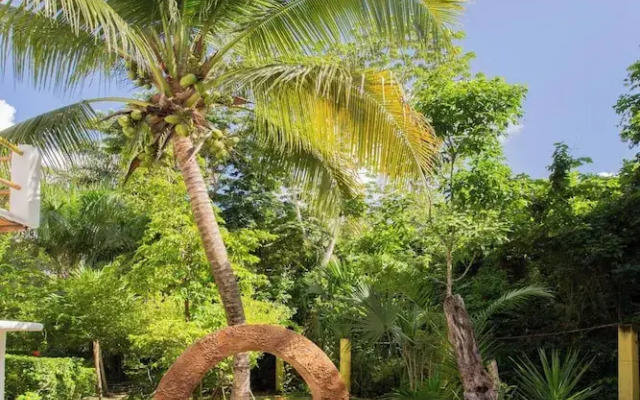 Mini Pini Birdwatching and Cenote Loft4 you Only