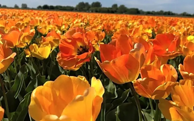 The Lighthouse Cabin