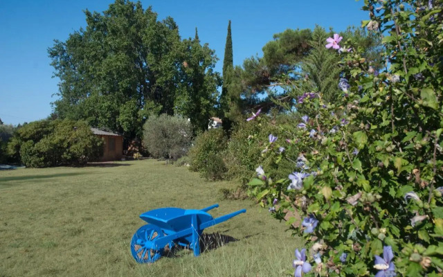 Vintage Provence