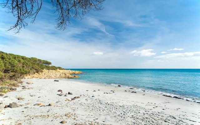Hotiday Apartment Collection - Villa Alba