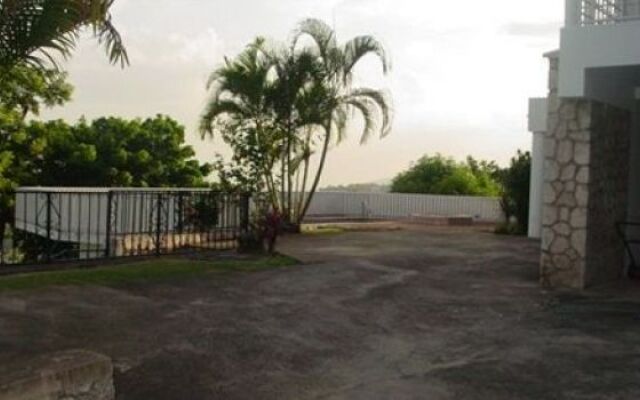 Hill Top Kingston Jamaica Bed & Breakfast