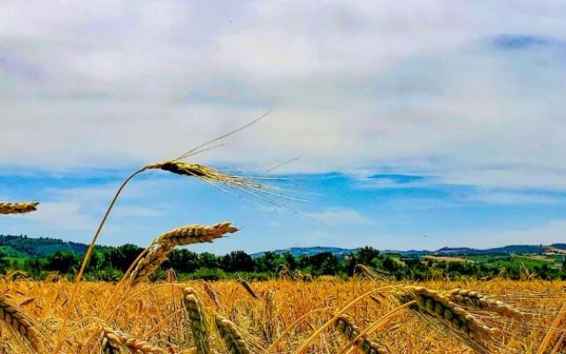 Agriturismo La Lenticchia