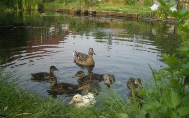 The Potton Nest Bed and Breakfast