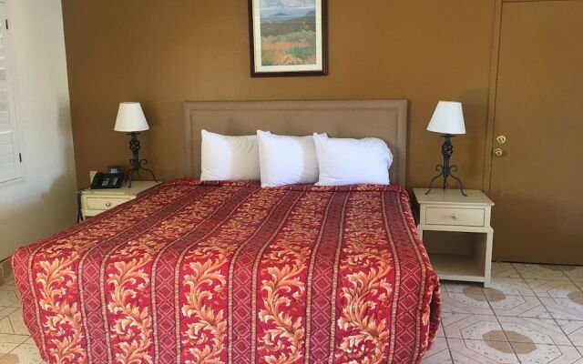 Palm Shadow Inn